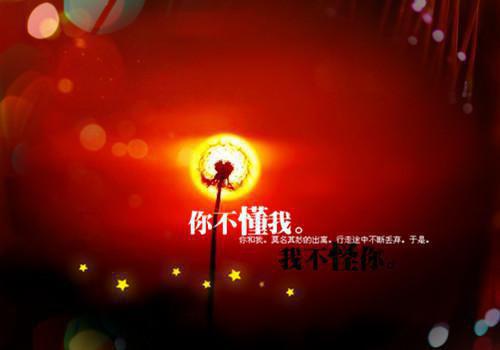 导游个人实习报告范文