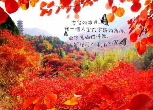 大学生的辞职报告范文