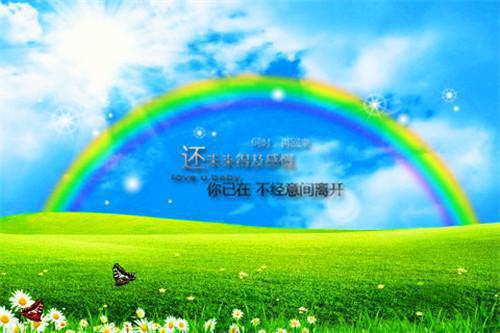 男主残疾的小说完本好看