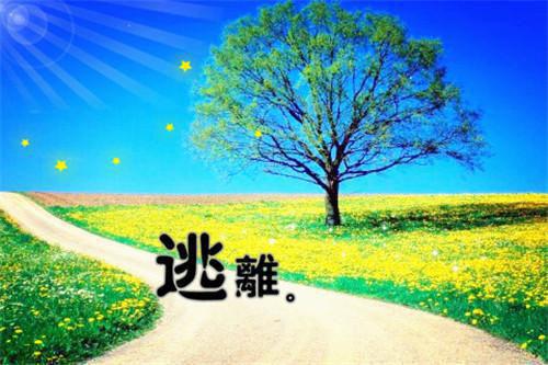 业务员实习报告