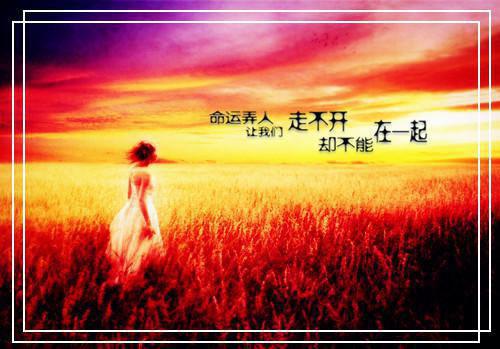 【精品】护士辞职报告范文汇总六篇