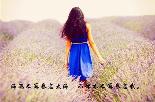 关于人生的总结