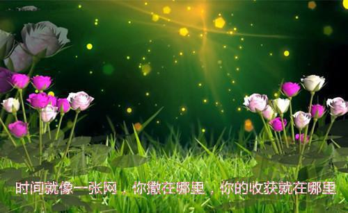感人爱情的小故事精选