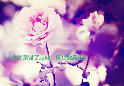 麦当劳寒假实习报告范文