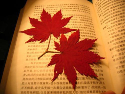 250字童话故事