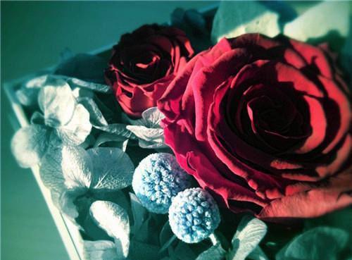 2023年大学生暑期下乡社会实践心得体会范文