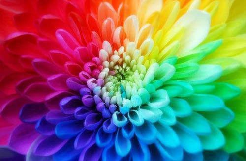 男人的伤感爱情散文随笔