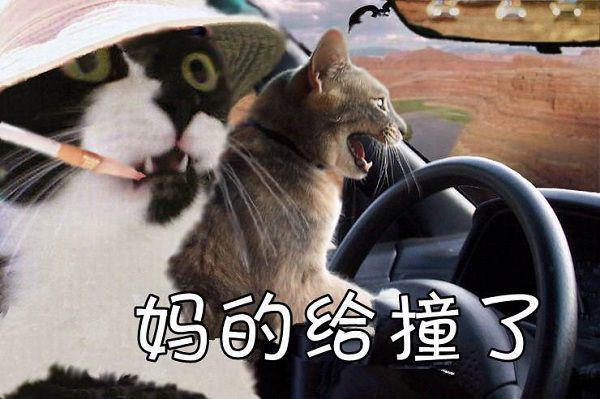 喜欢你到老小说全文免费阅读大结局_沈慕吹游随最新章节