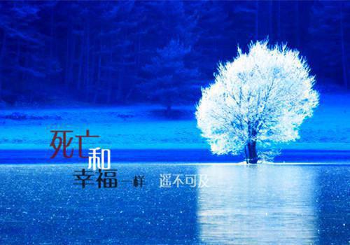 行政部助理试用期个人工作总结