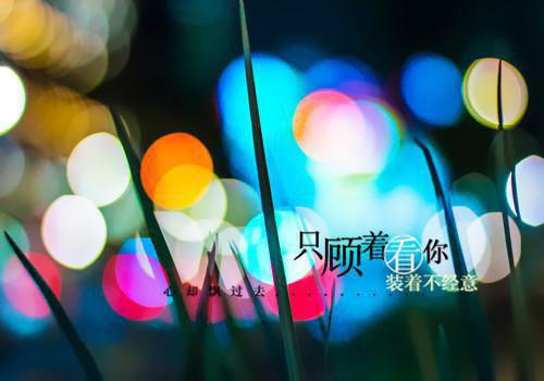 有关公司借款合同范文五篇
