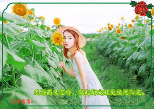 药剂科实习工作总结范文【三篇】