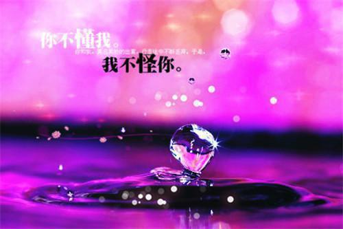 凌洲白江楠言小说番外+结局（恨海情天无人许）小说在线阅读