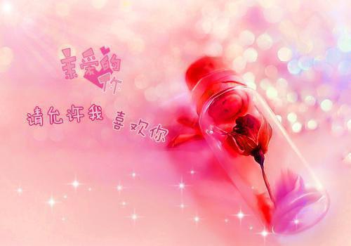 对新婚夫妇祝福贺词集锦
