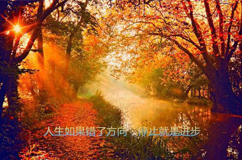 网络设计员工的辞职报告
