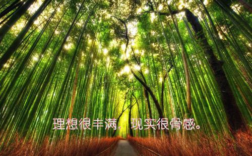 （苏修）全文免费阅读无弹窗大结局_（苏修）空军王者小说全文免费阅读_番外（空军王者小说）