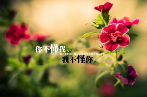小学开展冬季运动会年终工作总结