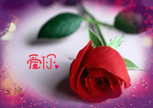 描写夏天的诗句——《夏日杂诗》