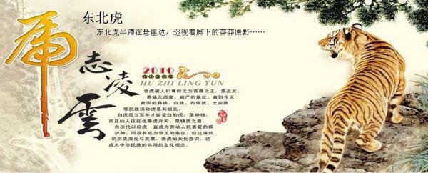 教师年终工作总结汇编5篇