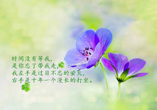 结婚幽默祝福语大全
