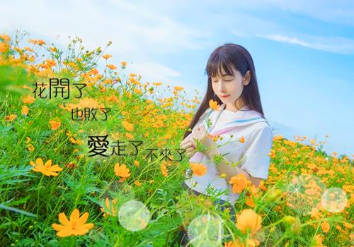 关于幼儿园学习的故事案例