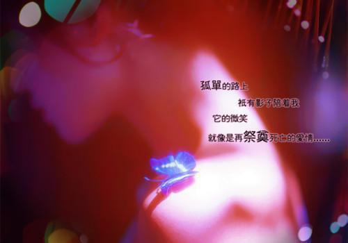 青春绽放季，凤凰花又开