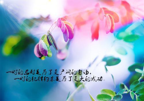 感人的经典爱情朴实小故事