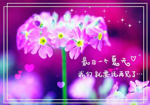 爱在黎明时尽散续集(赵今雪江砚风)全本完整免费版_起点章节+后续（爱在黎明时尽散）