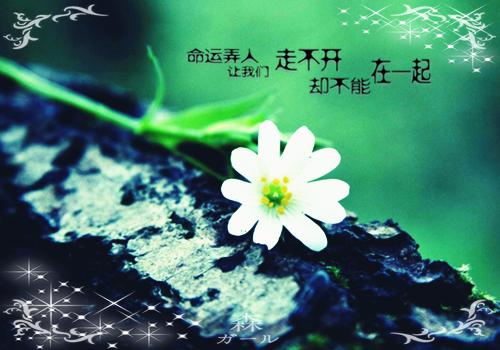 重生后（重生后）全文免费阅读大结局_重生后小说全文免费阅读最新章节列表_（重生后）