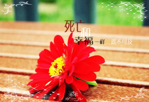 2023年保险公司员工辞职报告