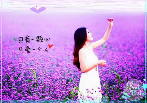 红楼梦描写十二金钗的经典句子