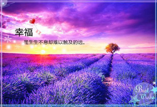 物流公司实习述职报告