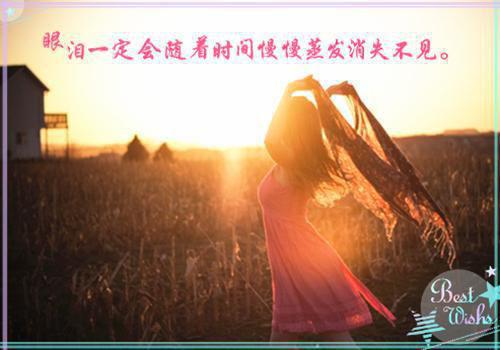 犹恐相逢是梦中：结局+番外乔书慈乔司野全文免费阅读（犹恐相逢是梦中：结局+番外）全文免费乔书慈乔司野阅读无弹窗大结局_犹恐相逢是梦中：结局+番外小说乔书慈乔司野最新章节列表_笔趣阁（乔书慈乔司野）