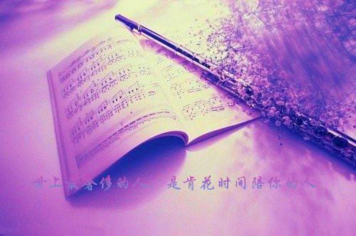 财务会计的个人实习报告范文