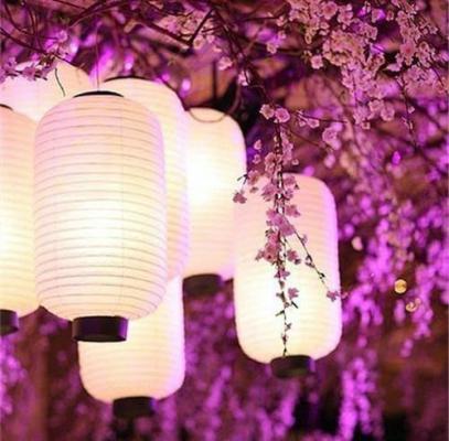 校园播音开场白台词