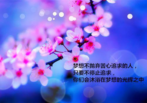 行路流年（杨璟之夷光）全文免费阅读无弹窗大结局_(真千金太彪悍,五个大佬哥哥知乎跪求原谅)行路流年免费阅读无弹窗最新章节列表_笔趣阁（杨璟之夷光）