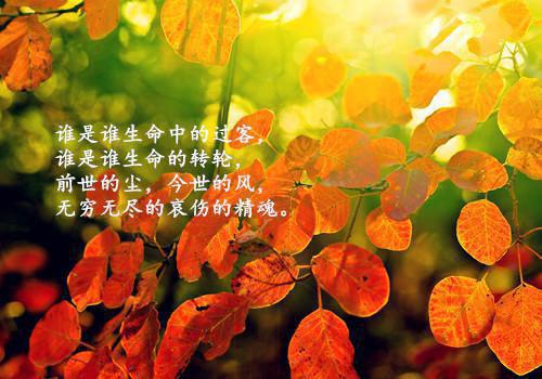 古代道德故事大全