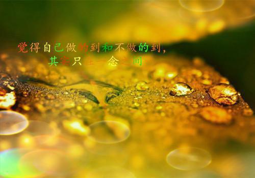 2023少先队入队申请书范文