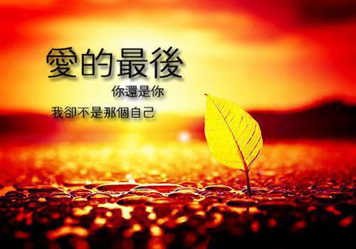 2023最火热门小说（得知孩子被换后，我觉醒了小说）在线小欣冯建国雅诗读-小欣冯建国雅诗精彩小说得知孩子被换后，我觉醒了小说全文赏析