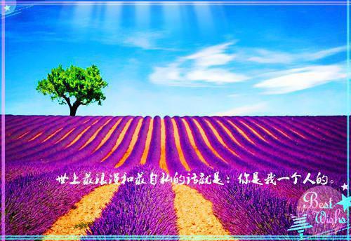 渺渺(渺渺)全文免费阅读无弹窗大结局_(旧思想奶奶免费阅读全文大结局)最新章节列表_笔趣阁（渺渺）