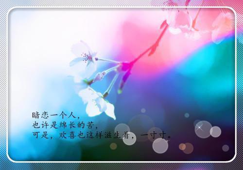 电视剧幻城的台词带图