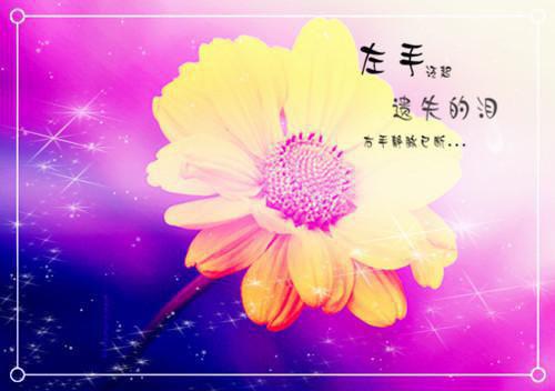 奋斗的正能量心语