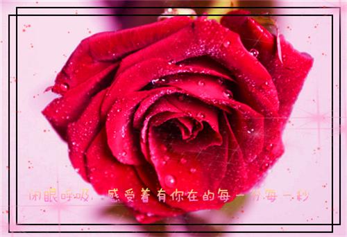 关于风的诗句——《江南春·千里莺啼绿映红》