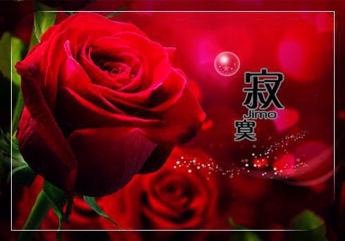 物业客服部年终总结