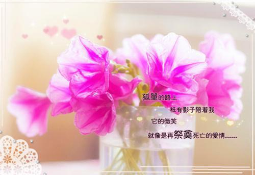 2023新上热文原配在家躺赢小说在线沈一祥肖楠读-原配在家躺赢小说叫沈一祥肖楠的小说（原配在家躺赢小说）完整版免费沈一祥肖楠读全文