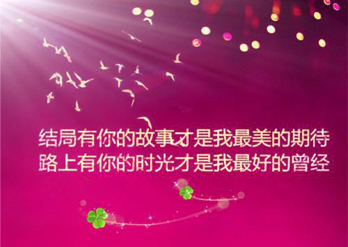 他做他的九千岁，我走我的阳关道结局+番外（沈清衍裴令仪）全文免费阅读全集完整版_他做他的九千岁，我走我的阳关道结局+番外最新章节无弹窗（沈清衍裴令仪）