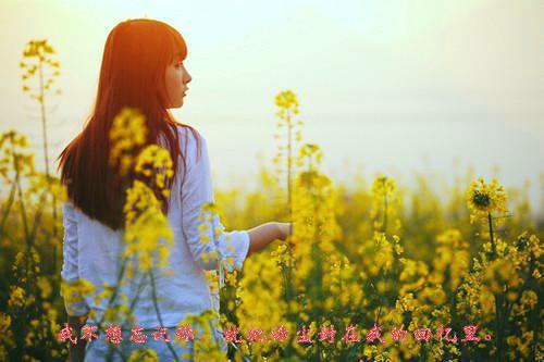招生办主任辞职报告
