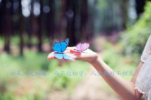 冰山烛火全文免费阅读(沈疏月沈宛星)全文在线沈疏月沈宛星读无弹窗大结局_(冰山烛火沈疏月沈宛星)冰山烛火在线沈疏月沈宛星读无弹窗最新章节列表_笔趣阁(沈疏月沈宛星)