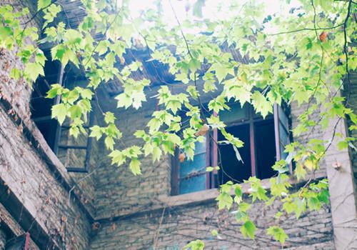 全职主妇不好惹全文免费阅读(郑迪)全文免费郑迪读无弹窗大结局_(全职主妇不好惹郑迪)全职主妇不好惹免费郑迪读无弹窗最新章节列表_笔趣阁(郑迪)