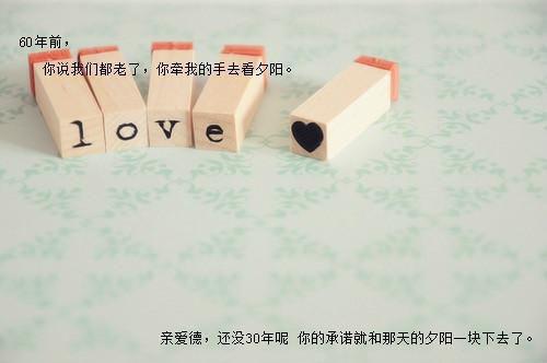 红尘有你