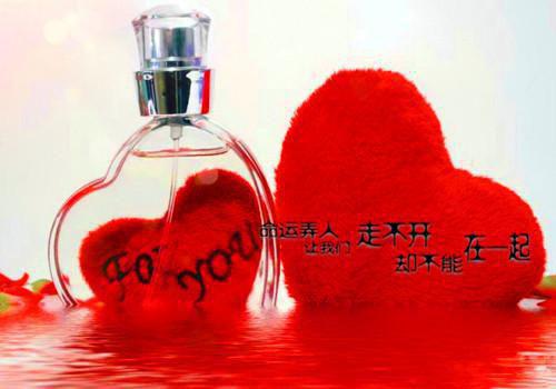 季晚舒沈彦榕的小说（季晚舒沈彦榕）免费阅读_季晚舒沈彦榕小说免费阅读-笔趣阁